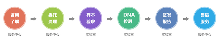 呼和浩特隐私亲子鉴定流程